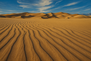 Wavy sand patterns leading to tall golden dunes beneath a blue sky at Great Sand Dunes National Park in Colorado.